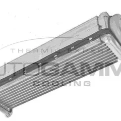 107924 AUTOGAMMA Теплообменник
