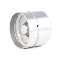 1216R0018 RIDEX Гидрокомпенсатор