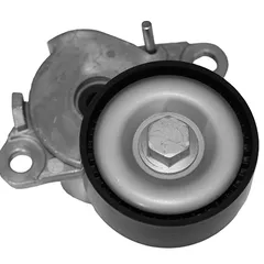 AG00220 Miles Натяжитель ремня приводного VAG 1,8, 2,0 TFSI 08-