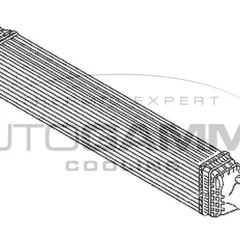 107853 AUTOGAMMA Теплообменник