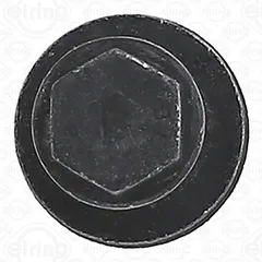 006.080 Elring Болт крышки головки блока цилиндра