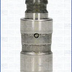 80-29011 Triscan Толкатель