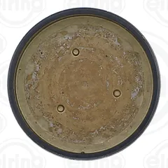 391.020 Elring Заглушка в ГБЦ