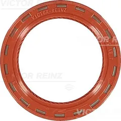 81-24909-10 Victor Reinz Сальник распределительного вала