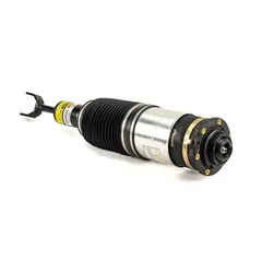 AS-3230 Arnott Air Spring Strut