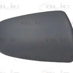 6103-01-1322593P BLIC Корпус, наружное зеркало | прав |