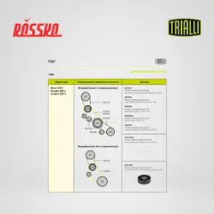 CM 1601 Trialli Ролик привод. ремня