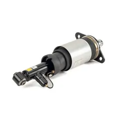 AS-3231 Arnott Air Spring Strut