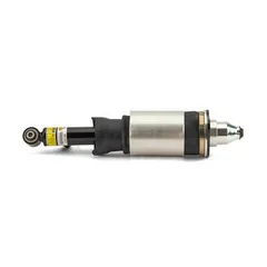 AS-3231 Arnott Air Spring Strut