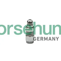 B18826 Borsehung Гидрокомпенсатор