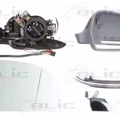 5402-25-035364P BLIC Наружное зеркало | прав |