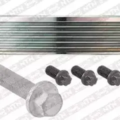 DPF359.33K1 SNR Шкив ременной коленчатого вала (комплект с болтом)