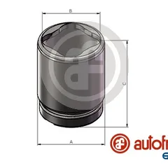 D025684 Seinsa Autofren Поршень тормозного суппорта | зад |