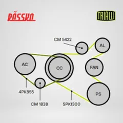CM 1838 Trialli Ролик натяжной ГРМ