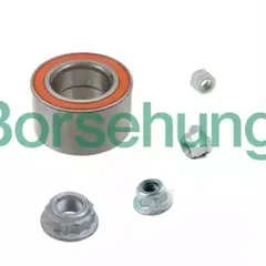 B15959 Borsehung Подшипник | лев |