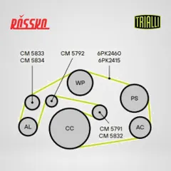 CM 5792 Trialli Ролик привод. ремня для а/м VW Touareg III (18-) 3.0d [EA897] (опор.) прав. | прав |