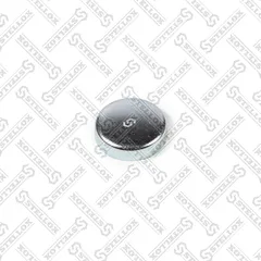 75-52755-SX Stellox Заглушка блока цилиндров Audi, VW 80