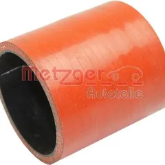 2400294 Metzger Hose Line